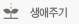 생애주기