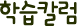 학습컬럼