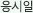 응시일