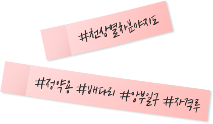 #천상열차분야지도 #정약용 #배다리 #양부일구 #자격루