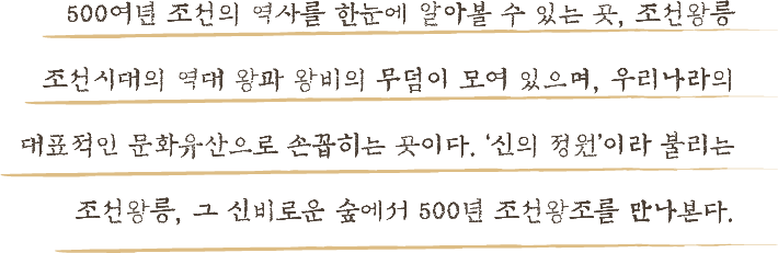 500여년 조선의 역사를 한눈에 알아볼 수 있는곳, 조선왕릉 조선시대의 역대 왕과 왕비의 무덤이 모여있으며, 우리나라의 대표적인 문화유산으로 손꼽히는 곳이다.'신의 정원'이라 불리는 조선왕릉, 그 신비로운 숲에서 500녀 조선왕조를 만나본다.