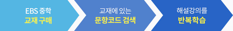 문항코드 학습