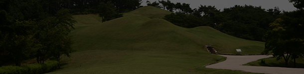 7년 만의 승리 - 의병과 승병