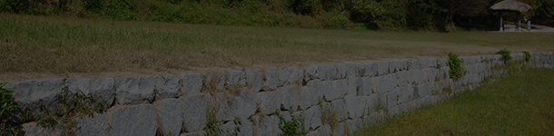 정조의 화성능행