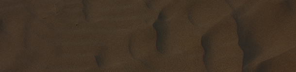 조선의 선비정신