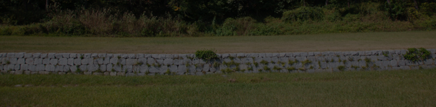 정조의 화성능행