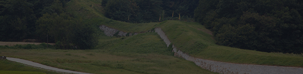 병자호란과 남한산성