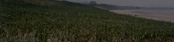 조선의 선비정신