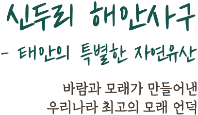 시대를 초월한 이상적 인간상 - 조선의 선비정신