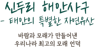 시대를 초월한 이상적 인간상 - 조선의 선비정신