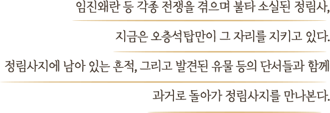 임진왜란 등 각종 전쟁을 겪으며 불타 소실된 정림사, 지금은 오층석탑만이 그 자리를 지키고 있다. 정림사지에 남아 있는 흔적, 그리고 발견된 유물 등의 단서들과 함께 과거로 돌아가 정림사지를 만나본다.
