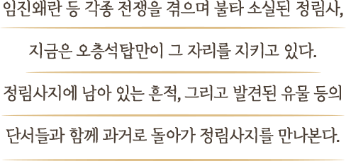 임진왜란 등 각종 전쟁을 겪으며 불타 소실된 정림사, 지금은 오층석탑만이 그 자리를 지키고 있다. 정림사지에 남아 있는 흔적, 그리고 발견된 유물 등의 단서들과 함께 과거로 돌아가 정림사지를 만나본다.