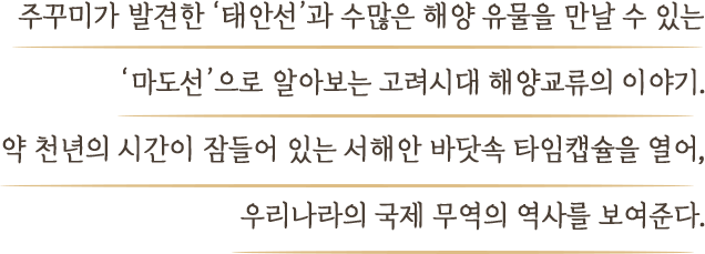 주꾸미가 발견한 ‘태안선’과 수많은 해양 유물을 만날 수 있는 ‘마도선’으로 알아보는 고려시대 해양교류의 이야기. 약 천년의 시간이 잠들어 있는 서해안 바닷속 타임캡슐을 열어, 우리나라의 국제 무역의 역사를 보여준다.