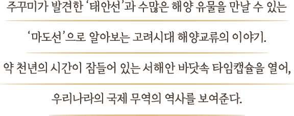 주꾸미가 발견한 ‘태안선’과 수많은 해양 유물을 만날 수 있는 ‘마도선’으로 알아보는 고려시대 해양교류의 이야기. 약 천년의 시간이 잠들어 있는 서해안 바닷속 타임캡슐을 열어, 우리나라의 국제 무역의 역사를 보여준다.