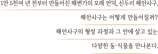 선비라는 말에서 고지식함을 먼저 떠올리는 요즘, 유교는 뒤떨어진 낡은 이야기가 되어버린 듯하다. 그러나 유교가 조선의 500여년 역사를 이끌 수 있었던 건 진정한 선비정신 덕분이 아닐까. 조선의 선비정신이 깃든 공간을 찾아가보며, 오늘날 우리에게 줄 수 있는 교훈과 의미에 대해 깊이 생각해보는 시간을 가져본다.