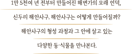 선비라는 말에서 고지식함을 먼저 떠올리는 요즘, 유교는 뒤떨어진 낡은 이야기가 되어버린 듯하다. 그러나 유교가 조선의 500여년 역사를 이끌 수 있었던 건 진정한 선비정신 덕분이 아닐까. 조선의 선비정신이 깃든 공간을 찾아가보며, 오늘날 우리에게 줄 수 있는 교훈과 의미에 대해 깊이 생각해보는 시간을 가져본다.