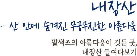 내장산 - 산 안에 숨겨진 무궁무진한 아름다움 | 팔색조의 아름다움이 깃든 곳, 내장산 들여다보기