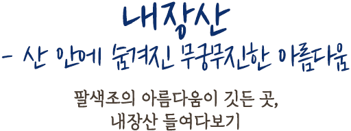 내장산 - 산 안에 숨겨진 무궁무진한 아름다움 | 팔색조의 아름다움이 깃든 곳, 내장산 들여다보기