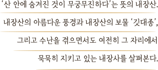 ‘산 안에 숨겨진 것이 무궁무진하다’는 뜻의 내장산. 내장산의 아름다운 풍경과 내장산의 보물 ‘깃대종’, 그리고 수난을 겪으면서도 여전히 그 자리에서 묵묵히 지키고 있는 내장사를 살펴본다.