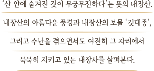 ‘산 안에 숨겨진 것이 무궁무진하다’는 뜻의 내장산. 내장산의 아름다운 풍경과 내장산의 보물 ‘깃대종’, 그리고 수난을 겪으면서도 여전히 그 자리에서 묵묵히 지키고 있는 내장사를 살펴본다.