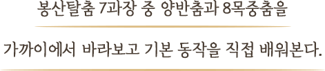 봉산탈춤 7과장 중 양반춤과 8목중춤을 가까이에서 바라보고 기본 동작을 배워본다.
