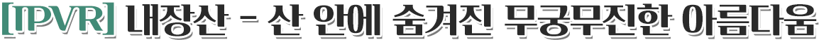 [IPVR] 내장산 - 산 안에 숨겨진 무궁무진한 아름다움