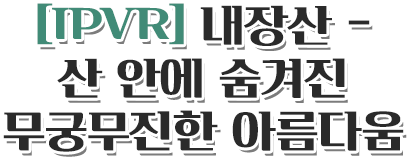 [IPVR] 내장산 - 산 안에 숨겨진 무궁무진한 아름다움